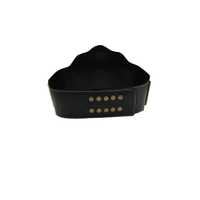 WWE Big Gold Heavyweight Championship Replica Title Wrestling Belt Undertaker 6MM Diecast Plate