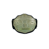 WWE Big Gold Heavyweight Championship Replica Title Wrestling Belt Triple H 6MM Diecast Plate