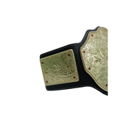 WWE Big Gold Heavyweight Championship Replica Title Wrestling Belt Triple H 6MM Diecast Plate