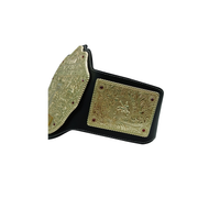 WWE Big Gold Heavyweight Championship Replica Title Wrestling Belt Triple H 6MM Diecast Plate