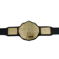 WWE Big Gold Heavyweight Championship Replica Title Wrestling Belt Triple H 6MM Diecast Plate