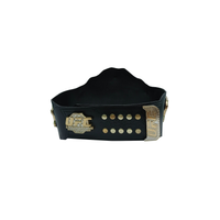 UFC Ultimate Fighting Championship Replica Belt 6MM Diecast Plate