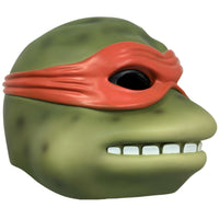 Teenage Mutant Ninja Turtles Michelangelo Resin Helmet