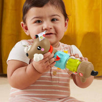 Fisher-Price Baby Sensory Click n Spin Pup