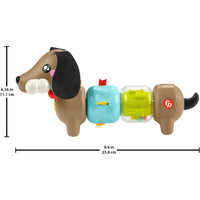 Fisher-Price Baby Sensory Click n Spin Pup