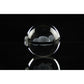 Sleep Squirtle Pokemon Glass Crystal Pokeball 50 with Light-Up LED Base Ornament 80mm XL Size