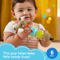 Fisher-Price Baby Sensory Click n Spin Pup