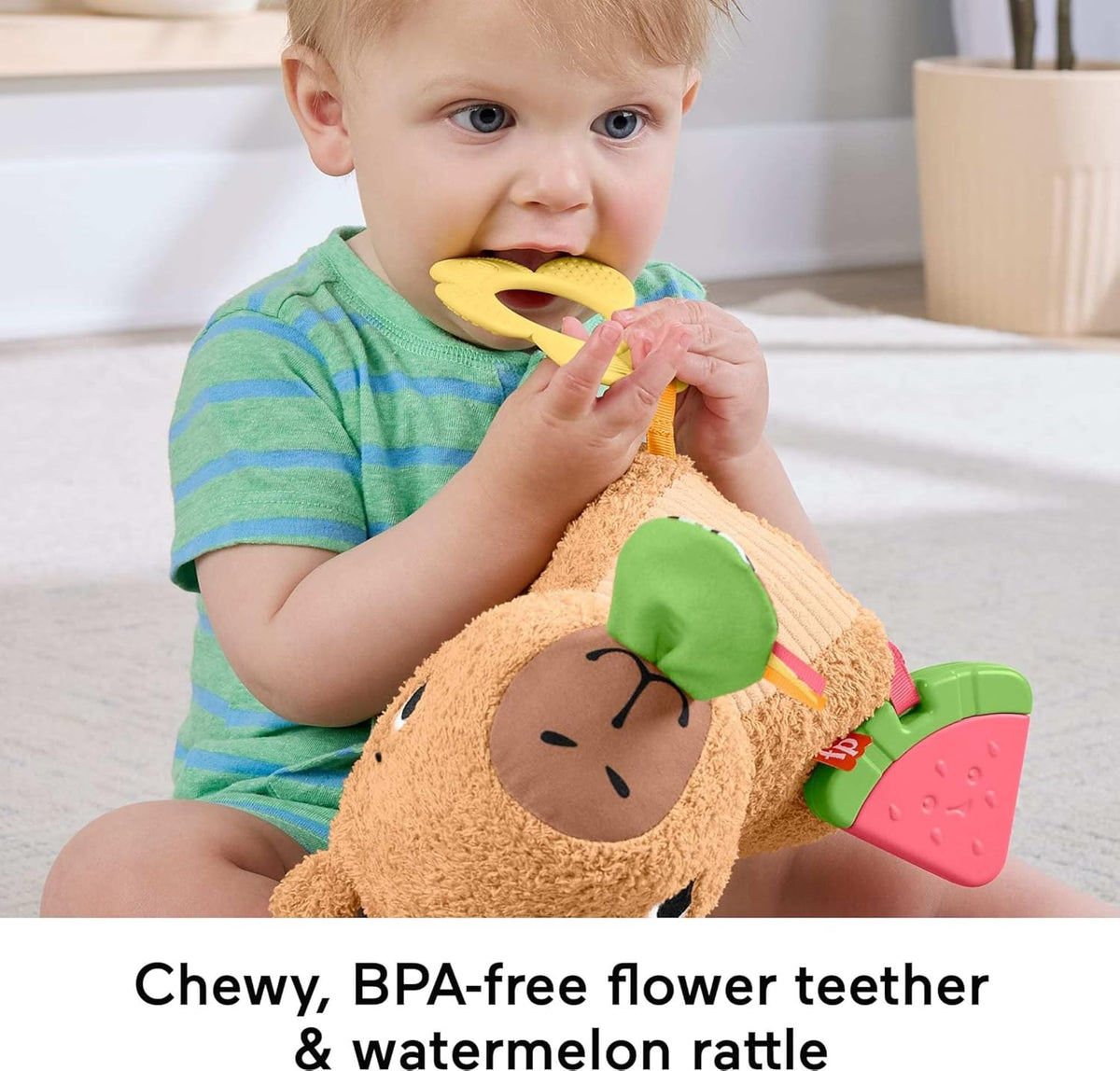 Fisher-Price Baby Sensory Toy Snuggly Snacky Capybara Plush
