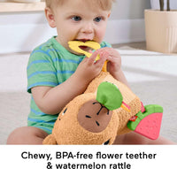 Fisher-Price Baby Sensory Toy Snuggly Snacky Capybara Plush