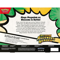 Pokemon TCG: Mega Evolution Ascended Heroes - Mega Meganium ex Box