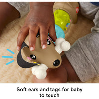 Fisher-Price Baby Sensory Click n Spin Pup