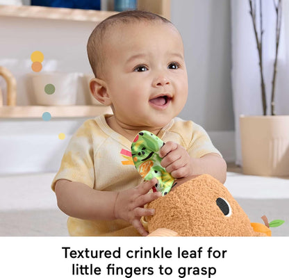 Fisher-Price Baby Sensory Toy Snuggly Snacky Capybara Plush