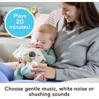 Fisher Price On The Go Koala Soother