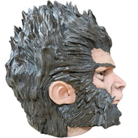 Black Myth Wukong Sun Wukong Resin Head Sculpture Replica DAMAGED