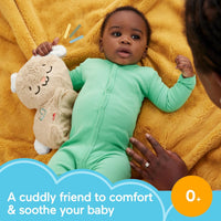 Fisher Price Soothe & Settle Bunny