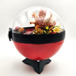 Charizard Crystal Terrarium Lava Red Poke Ball Handmade