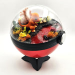 Charmander Crystal Terrarium Lava Red Poke Ball Handmade