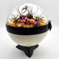 Pokemon Eevee Crystal Terrarium Plains White Poke Ball Handmade