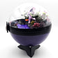 Pokemon Espeon Crystal Terrarium Haunted Wood Purple Poke Ball Handmade