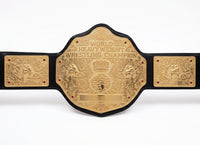 WWE Big Gold Heavyweight Championship Replica Title Wrestling Belt Undertaker 6MM Plate