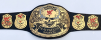 WWF Stone Cold Smoking Skull Championship Belt 6MM Plate