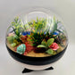 Pokemon Pikachu Crystal Terrarium Beach White Poke Ball Handmade