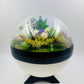 Pokemon Sitting Oddish Crystal Terrarium Lake White Poke Ball Handmade