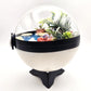 Pokemon Sylveon Crystal Terrarium Beach White Poke Ball Handmade