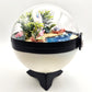 Pokemon Sylveon Crystal Terrarium Beach White Poke Ball Handmade