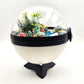 Pokemon Vaporeon Crystal Terrarium Beach White Poke Ball Handmade