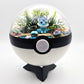 Pokemon Vaporeon Crystal Terrarium Beach White Poke Ball Handmade