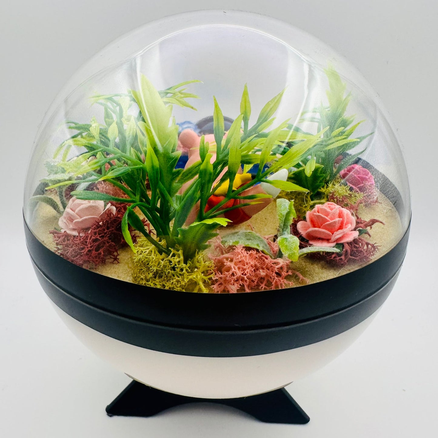 Pokemon Slowpoke Crystal Terrarium Beach White Poke Ball Handmade