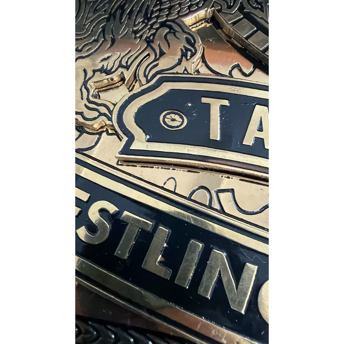 WWE Tag Team Championship Belt 4mm Brass Plate CLEARANCE 2
