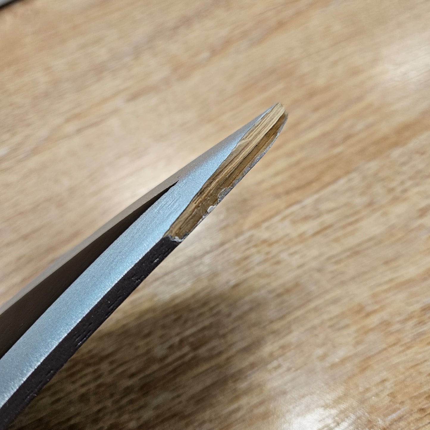 Solo Leveling Fang Dagger Wood DAMAGED-1