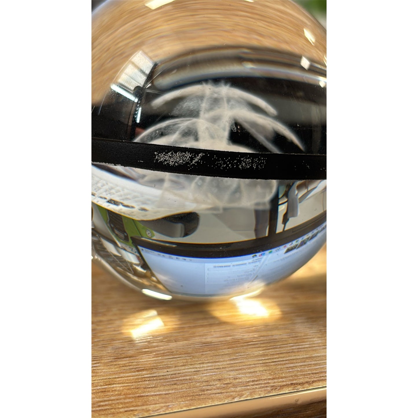 Pokemon 3D Crystal Ball Pokeball Venusaur Night Light 8cm XL Size DAMAGED