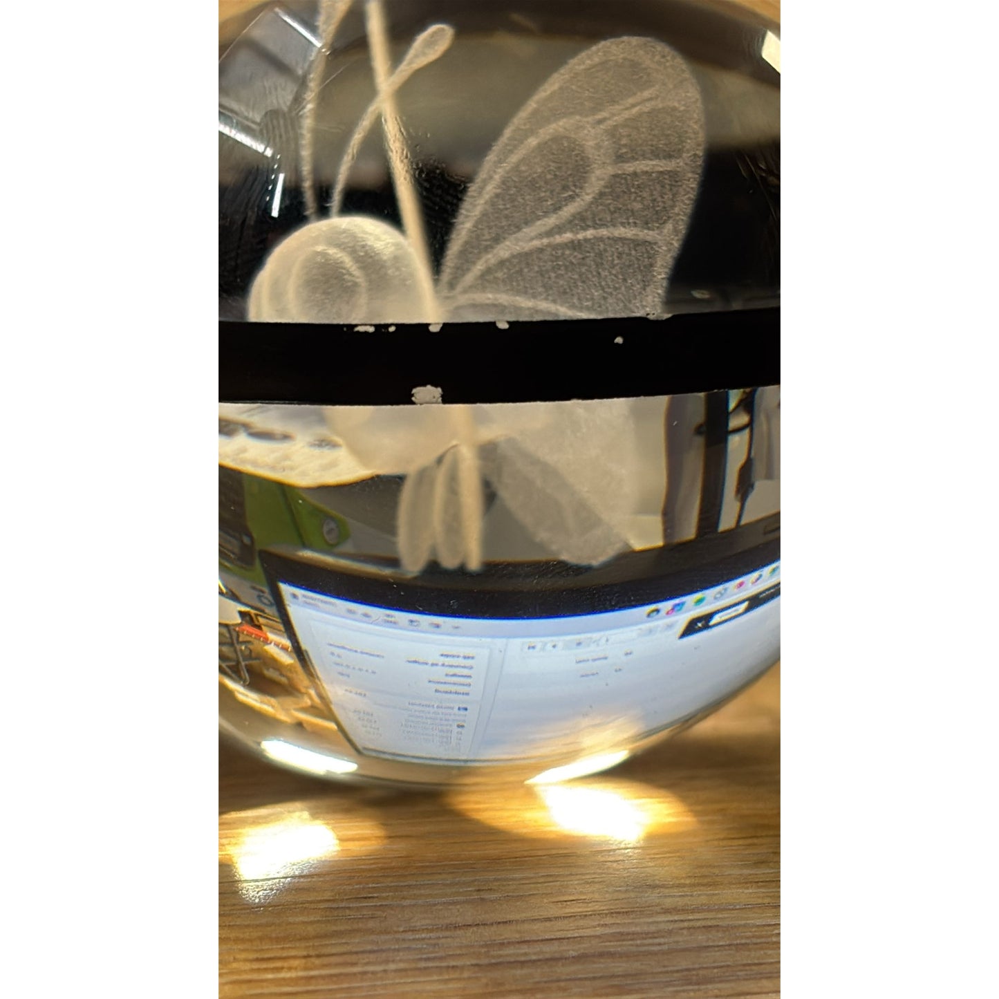 Pokemon 3D Crystal Ball Pokeball Butterfree Night Light 8cm XL Size DAMAGED