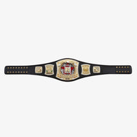 WWE Edge R Rated Championship Replica Title Belt 4MM Brass Plate