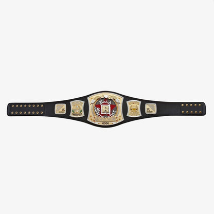 WWE Edge R Rated Championship Replica Title Wrestling Belt 4MM Brass Plate