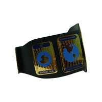 WWE Attitude Era Intercontinental Championship Replica Title Belt 4MM Brass Plate