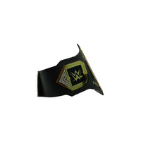 WWE NXT Wrestling Heavyweight Championship Title Belt 6MM Diecast Plate