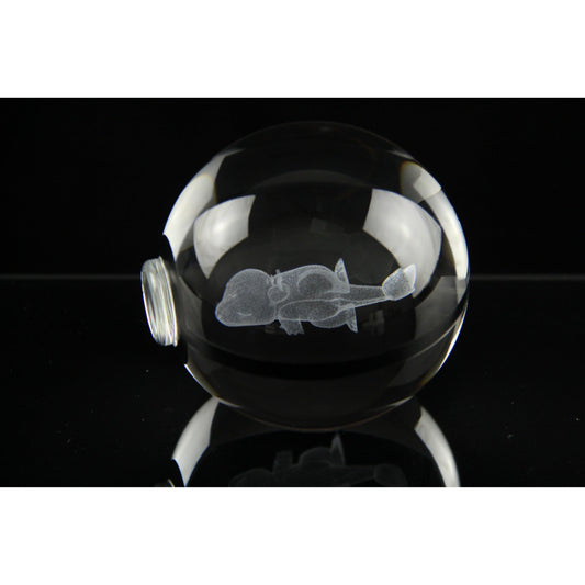 Pokemon 3D Crystal Ball Pokeball Sleep Charmander Night Light 8cm XL Size - NEXTLEVELUK