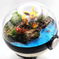 Pokemon Jolteon Crystal Terrarium Lake White Poke Ball Handmade - NEXTLEVELUK