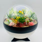 Pokemon Pikachu Crystal Terrarium Lake White Poke Ball Handmade - NEXTLEVELUK