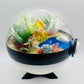 Pokemon Pikachu Crystal Terrarium Lake White Poke Ball Handmade - NEXTLEVELUK