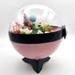 Pokemon Squirtle Crystal Terrarium Lake Pink Poke Ball Handmade - NEXTLEVELUK