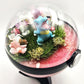 Pokemon Totodile Crystal Terrarium Lake Pink Poke Ball Handmade - NEXTLEVELUK
