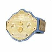 Ric Flair The Nature Boy Signature Series Replica Title Belt 4MM Brass Plate