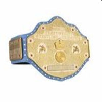 Ric Flair The Nature Boy Signature Series Replica Title Belt 4MM Brass Plate