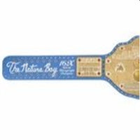 Ric Flair The Nature Boy Signature Series Replica Title Belt 4MM Brass Plate