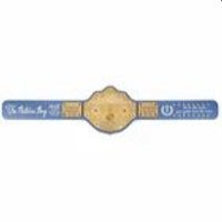 Ric Flair The Nature Boy Signature Series Replica Title Belt 4MM Brass Plate